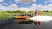 Best of Miami Combo: Everglades, Bay Cruise, & Open-top Bus Tour