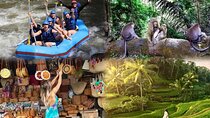 Full day Ubud Tour Bali Rafting, Monkey Forest and Rice Terrace