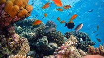 Private Bali Snorkling at blue lagoon