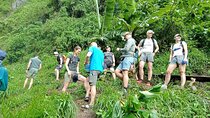 Private Materuni Waterfalls, Coffee Tour and Kikuletwa Hot Spring