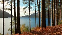 Bonnie Lochs & Bold Whisky Small Group Tour from Edinburgh