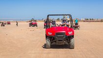 Family Buggy Safari & Camel Ride with Transfer – Marsa Alam
