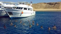 Tiran Island snorkeling trip, Lunch & Transfer - Sharm El sheikh