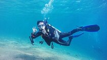 Discover Diving Beginner's Tour with Lunch – Sharm El Sheikh