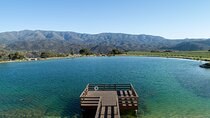 Private Vineyard Tour and Wine Tasting