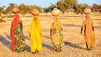 Private Royal Rajasthan with Taj Mahal Tour from Delhi