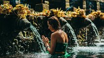 All-Inclusive Ubud Sight Private Tours