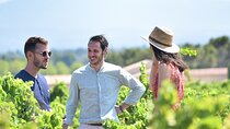 Wine and Sensory Exploration at Le Jas des Papes