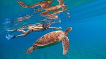 Marsa Mubarak Snorkeling Sea Trip & Transfer & Lunch – Marsa Alam