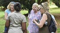 Entebbe and Kampala 2-Day Tour
