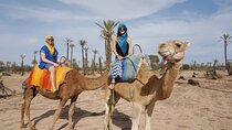 Discover Palmeraie Grove 1 Hour Camel Ride & Transfer - Marrakesh