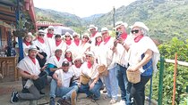 Coffee Experience from Plant to Cup in Medellín