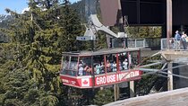 City Highlights Tour from Vancouver with a Local Guide