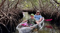  Key West Kayak Eco Tour | An Eco-Friendly Adventure Awaits!