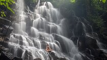 Rice Terraces Sacred Temples and Waterfall Tour from Ubud