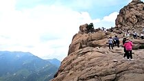 Amazing Gawong-do Tour