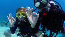Marsa Mubarak Intro Dive & Snorkel, Lunch, Transfer - Marsa Alam