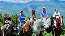 Teton View Horse Riding with Lunch