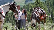 Moose Meadow Breakfast Ride