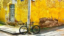 Bike Tour through Colonia Del Valle and Coyoacán / Mexico