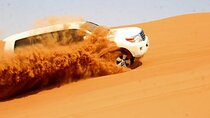 Abu Dhabi Night Safari 4WD with Camel Ride BBQ and Sand Boarding
