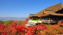 A Tour to Explore Kyoto's Autumn Foliage at Kiyomizu-dera Temple