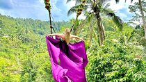 Best of Ubud With Ulu Petanu Waterfall Private Guided Tour