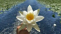 Virpazar Skadar Lake National Park Guided Boat Tour