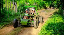 Half-Day Zip Line Experience with Buggy Tour
