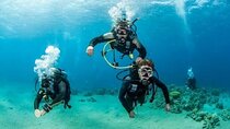 Beginners Scuba Diving Boat Trip With Lunch – Marsa Alam