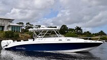 Private VIP party on a yacht with drinks and snacks in Punta Cana