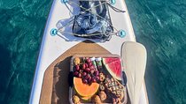 Paddle Board Picnic Peanut Island Palm Beach Singer Island