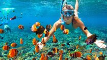  Orange Bay Private Snorkeling Cruise with Lunch