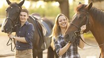 Horse Ride , Egyptian Show & Bedouin Dinner - Sharm Sheikh