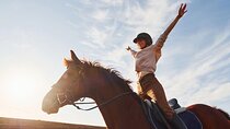 Desert Horseback Riding 1 Hour with Transfer - Sharm El Sheikh