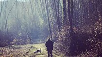 Truffle Hunting with optional Pisa or Certaldo from Florence