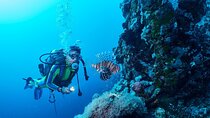 PADI Open Water Diving Course with Transfer - Sharm El Sheikh