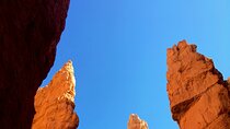 Private Tour in the Stunning Beauty of Zion and Bryce Canyon