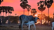 Authentic Siem Reap: Tuk Tuk Countryside and Sunset Tour