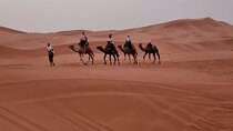 Merzouga Camel Trekking 1 Night Experience 