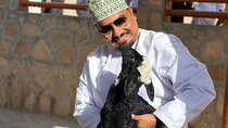 Nizwa and Oman's Historical Gems Tour