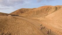 Volcanic Discovery PREMIUM eBike Tour; easy level: 35 km
