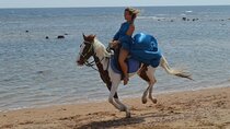 2-Hour Horse Riding on Nabq Bay Beach Transfers – Sharm El Sheikh