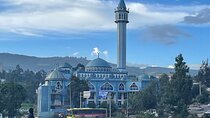 Full Day Sightseeing Tours of Addis Ababa with Lunch included 