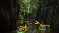 Twilight Kayak Glowworm Tour with Stargazing 
