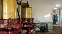 Furnas, tea plantation, Vila Franca Campo Private Full Day Tour