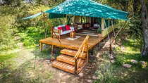 3 Days Masai Mara Gamedrive Camping Safari 4X4 Jeep
