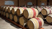Wine Tasting Day Tour to Vineyard Casas del Bosque in Casablanca