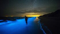 Grand Cayman Bioluminescent Bay Tour 