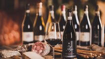 Visit and Tasting Reserve on Bricco di Nizza